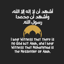 داليا السيد حسين