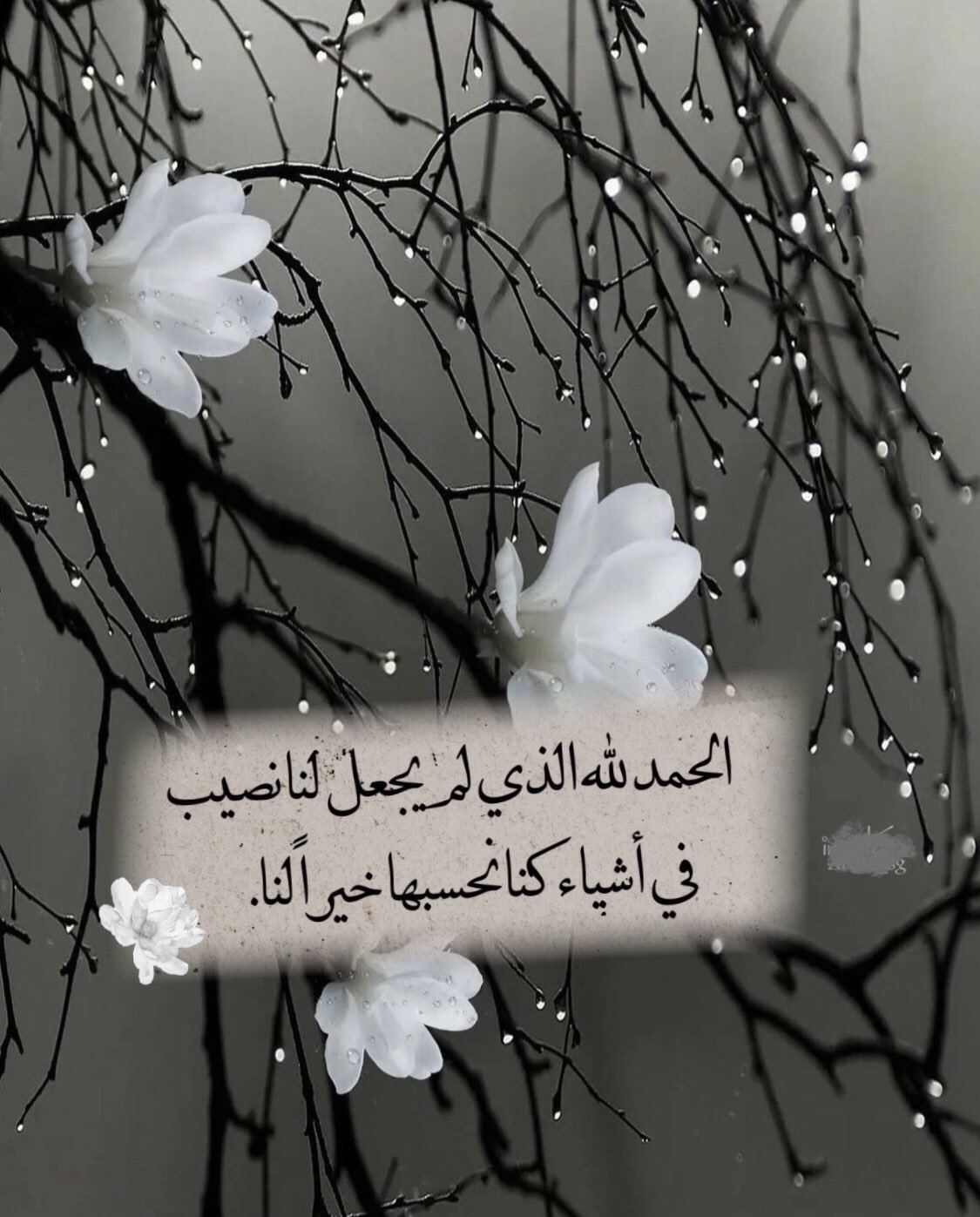 الخيره فيما اختاره الله