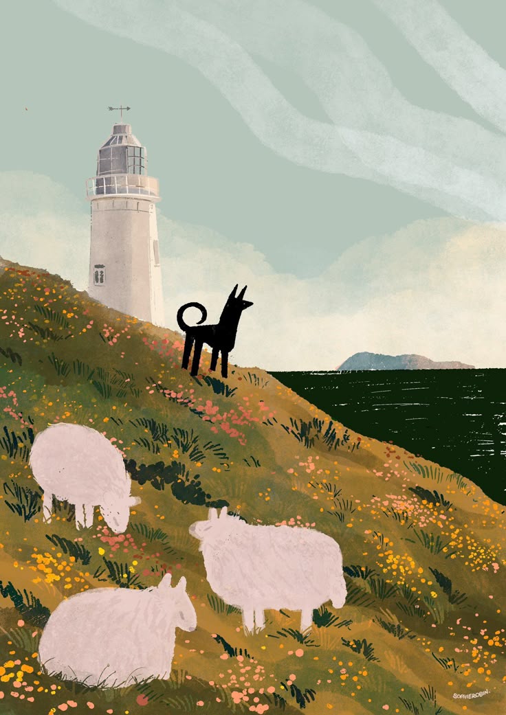 النعجة- العدد #60