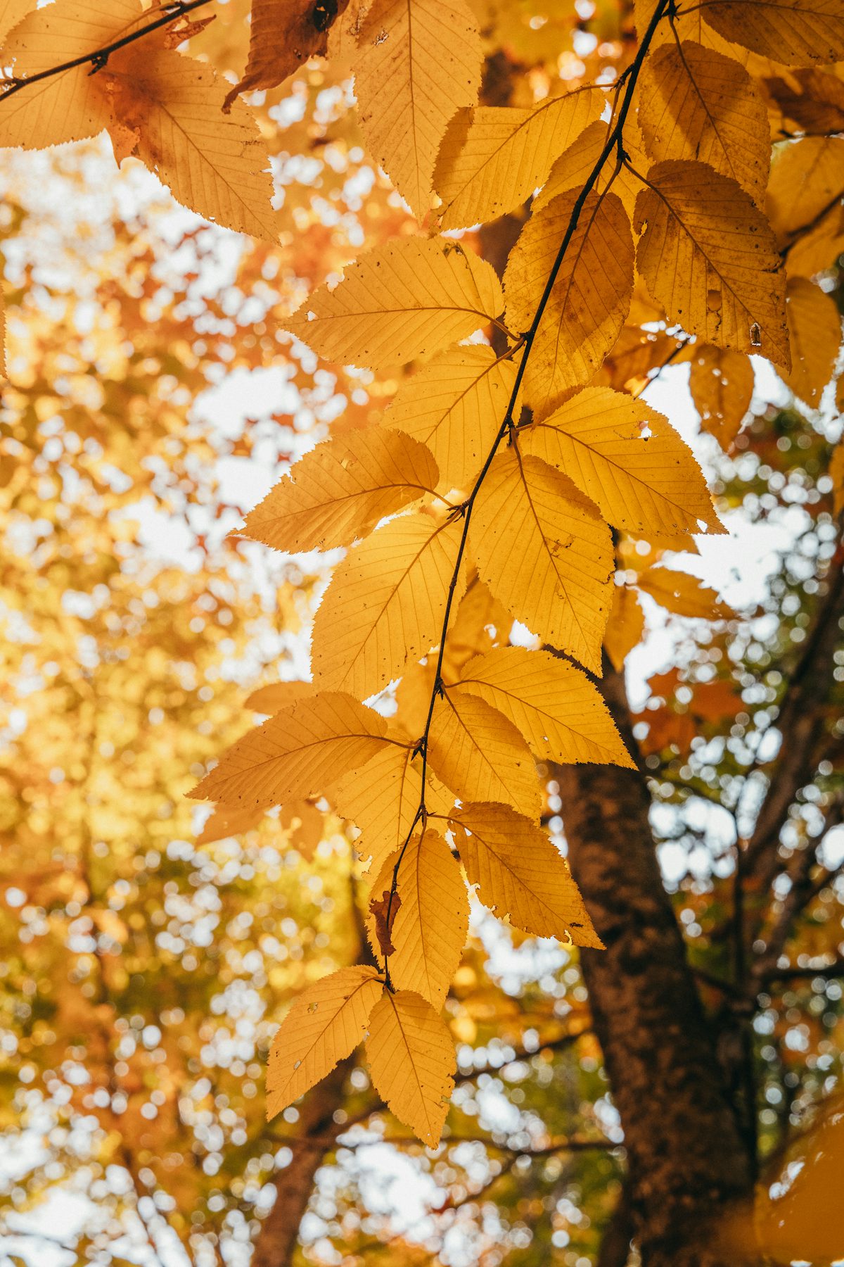 Unsplash&nbsp;