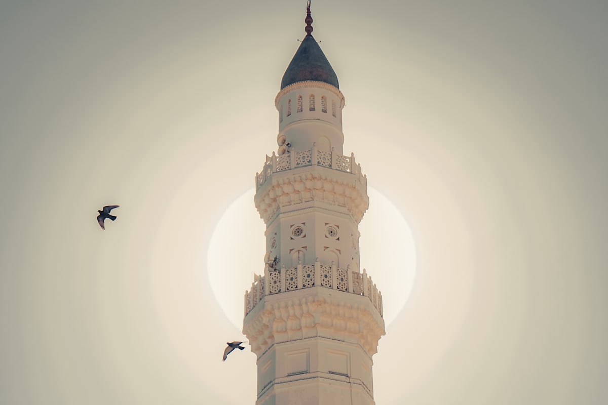 أثر لا يرحل، الغرس قبل توديع رمضان🌾🌙✨نشرة مرجع التدوين البريدية - العدد #102