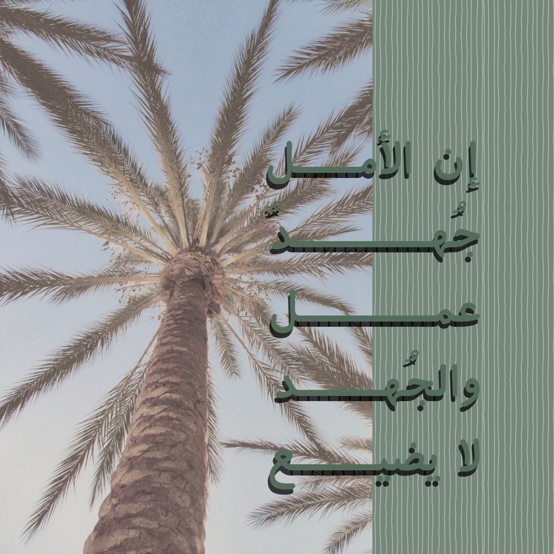 وتهدينا الحياة... - نخلة اجتماعية