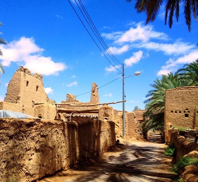 زفة الحافظ بين نجد واسطنبول