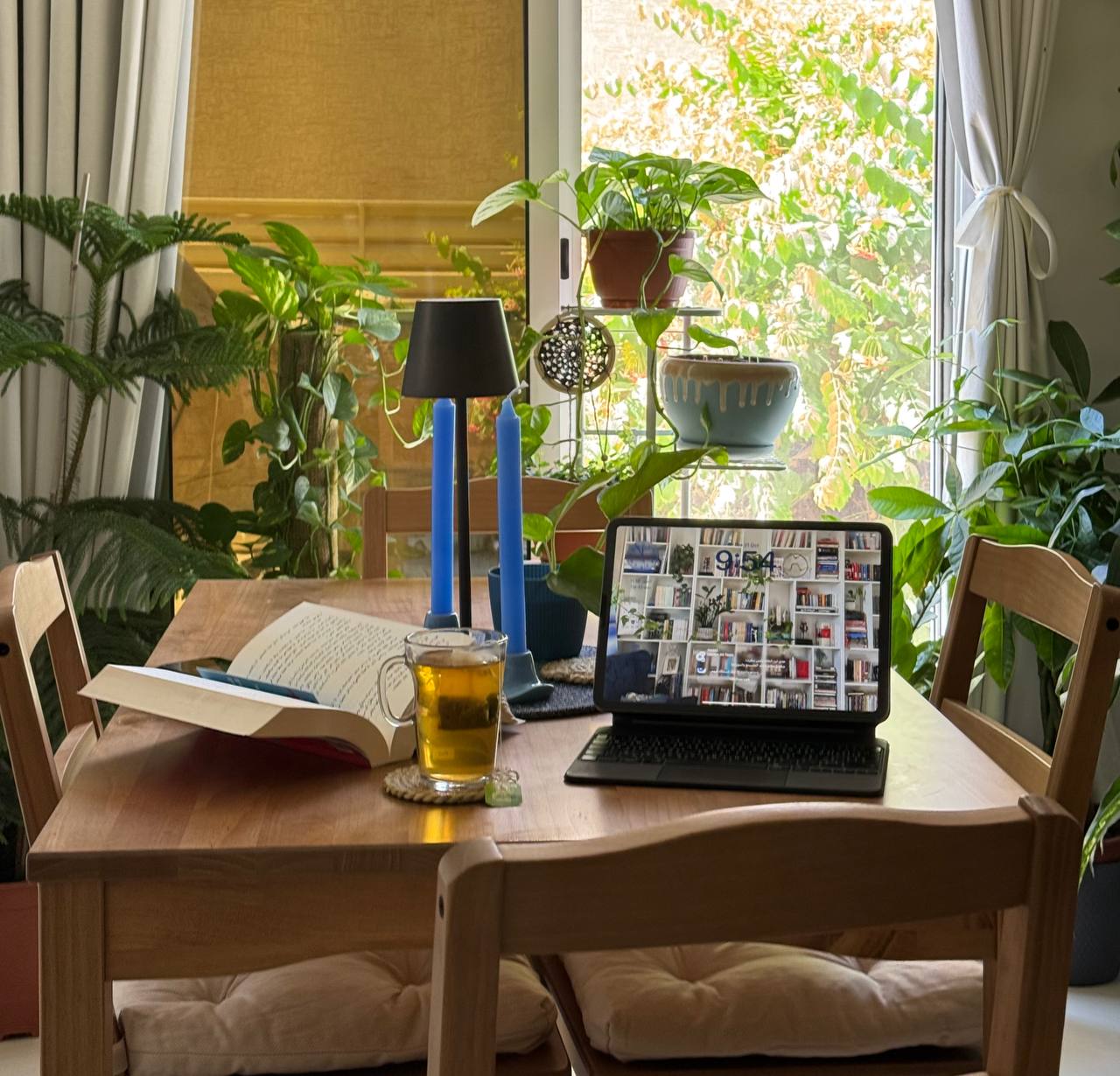 نشرة أحرف عائشة