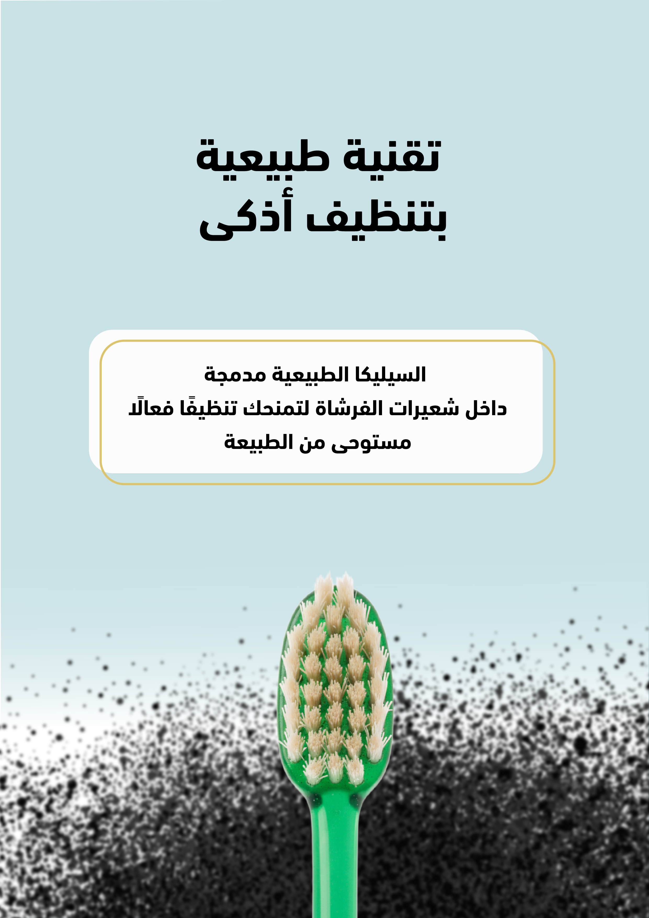 نشرة فرشاة مسواك الذكية - العدد 2